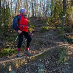 Brevi tornanti costruiti con tronchi